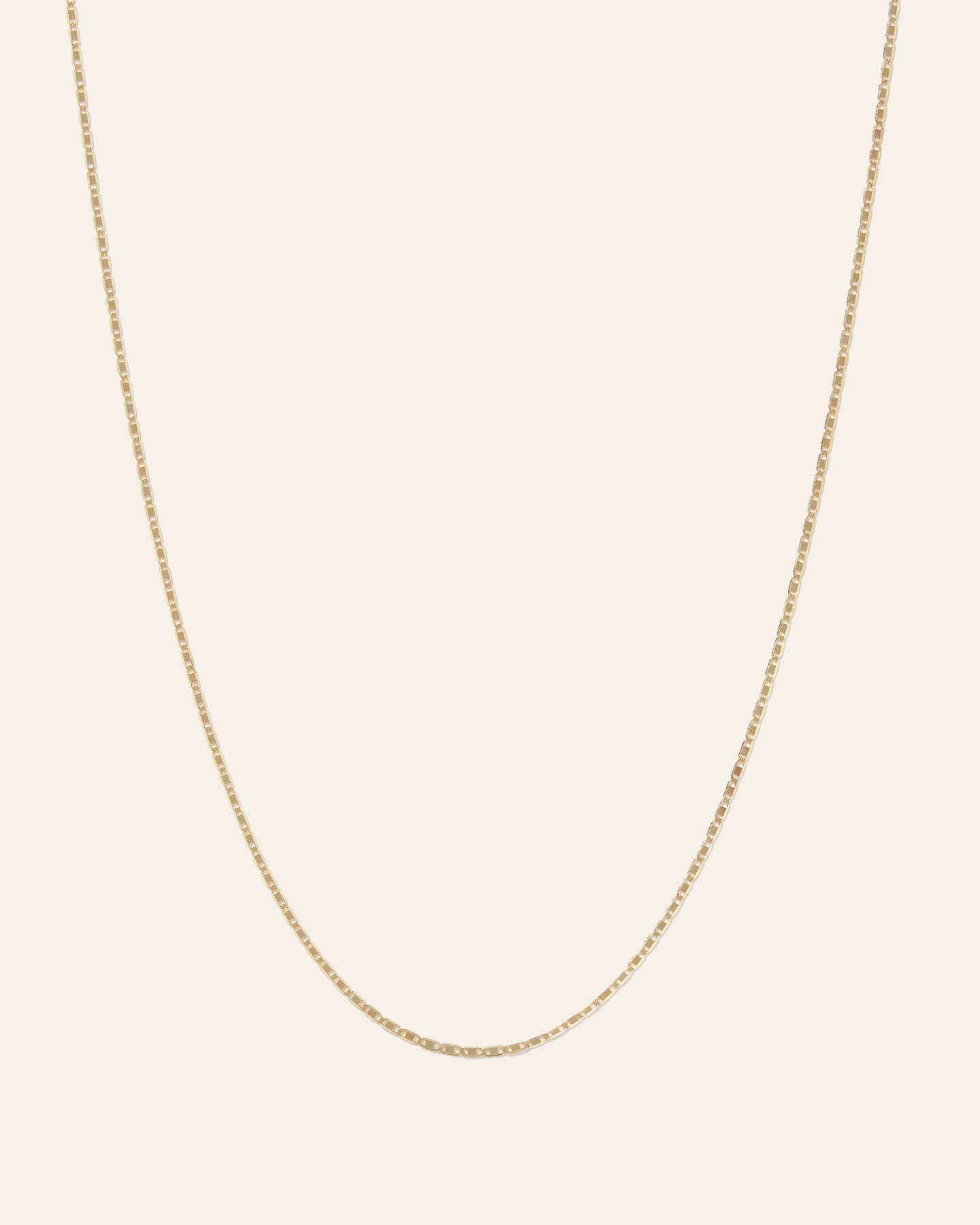 14K Gold Petite Valentino Chain Necklace