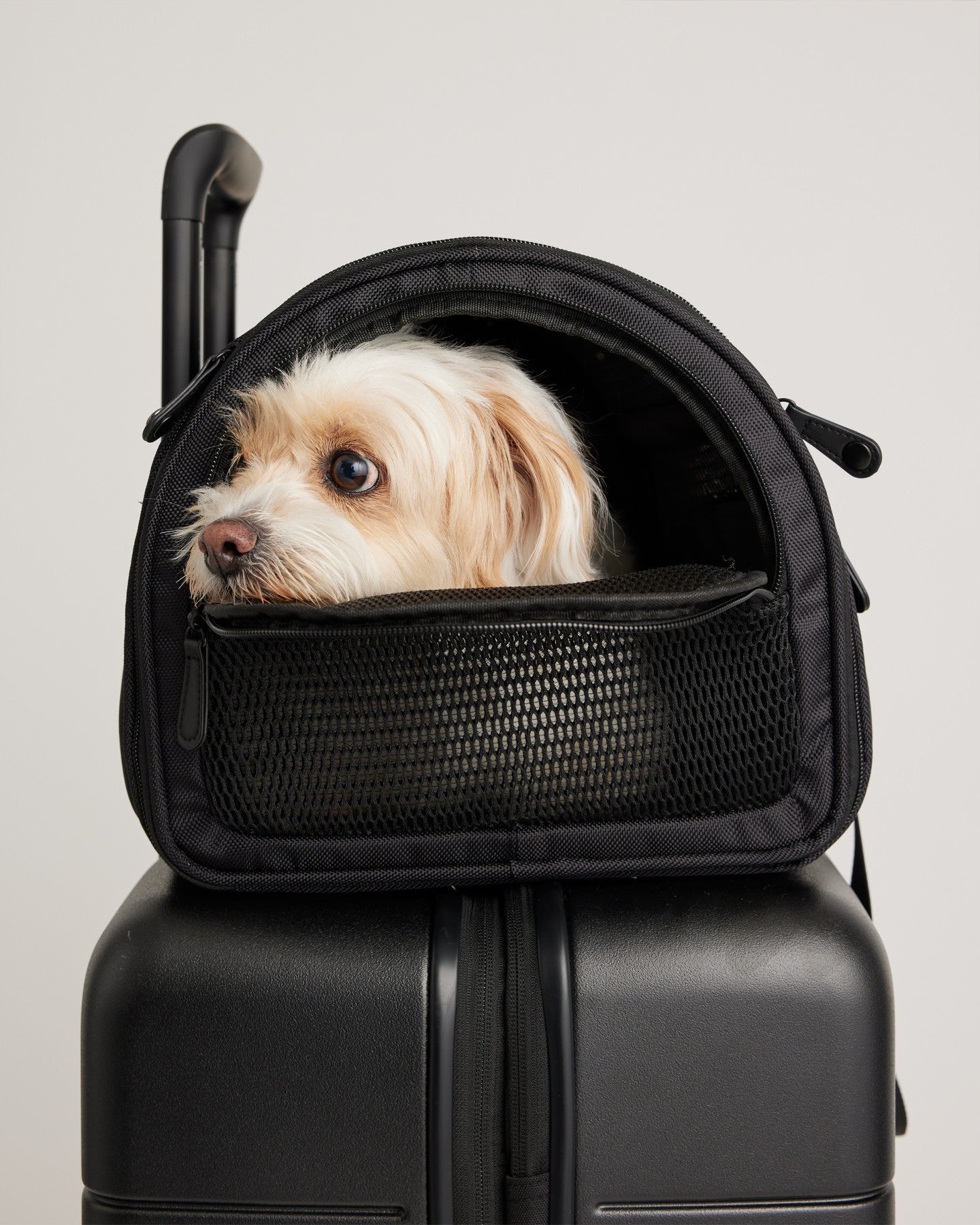 Pet Travel Carrier