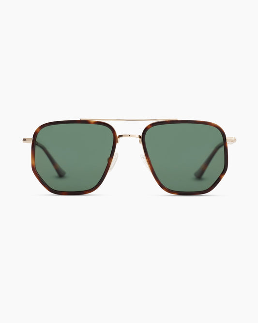 Leon Polarized Stainless Steel Sunglasses