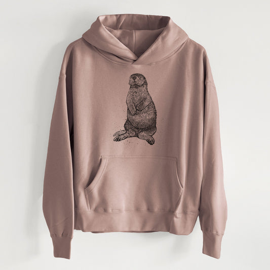 Enhydra lutris - California Sea Otter - Women's Heavyweight Relaxed Hoodie