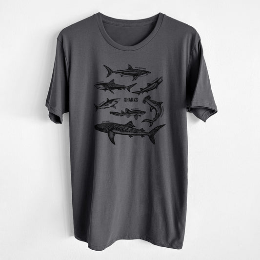 Shark Chart - Unisex Crewneck - Made in USA - 100% Organic Cotton