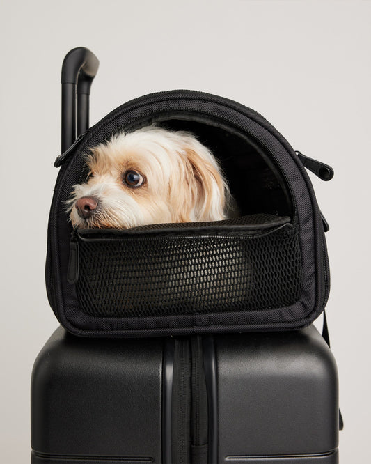 Pet Travel Carrier