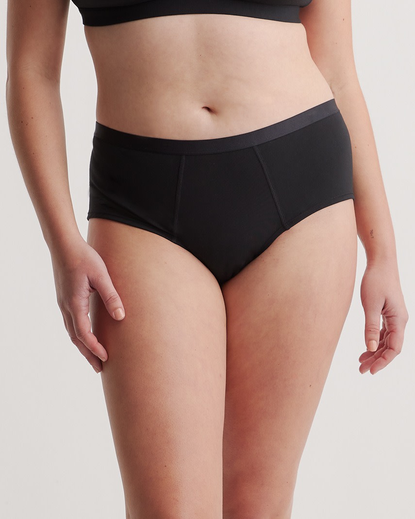 Micromodal Cheeky Brief (6-pack)
